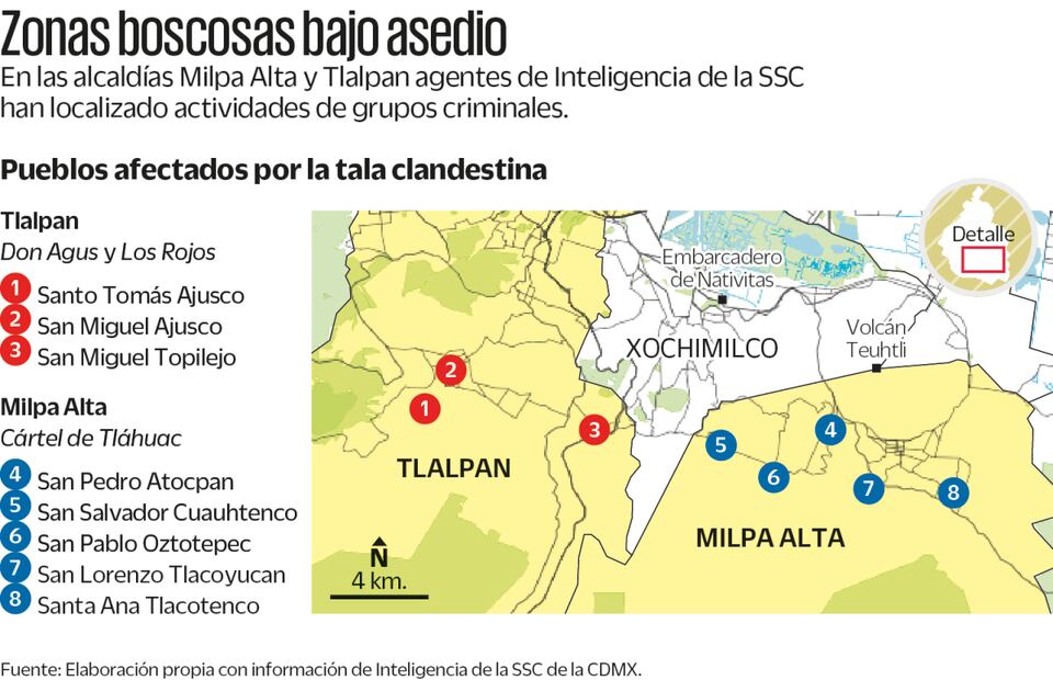 Dos cárteles controlan la tala ilegal en la CDMX