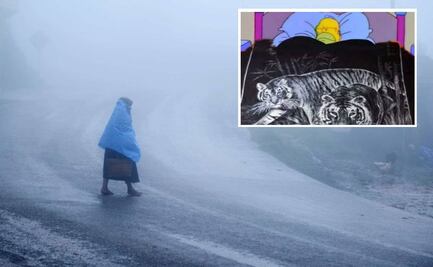 No guardes la cobija de tigre: Frente Frío 10 y 11 provocarán lluvias y heladas en estos estados