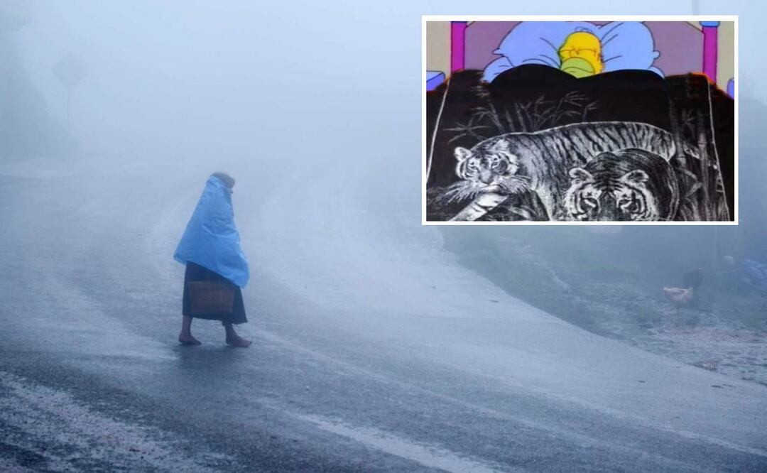 Durante la mañana de este sábado, se pronostica ambiente frío y temperaturas mínimas de -5 a 0 grados con heladas. Foto: Archivo Cuartoscuro