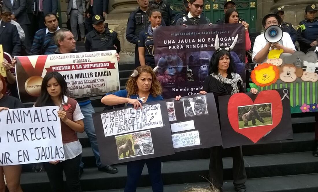 Diana Villavicencio / EL UNIVERSAL