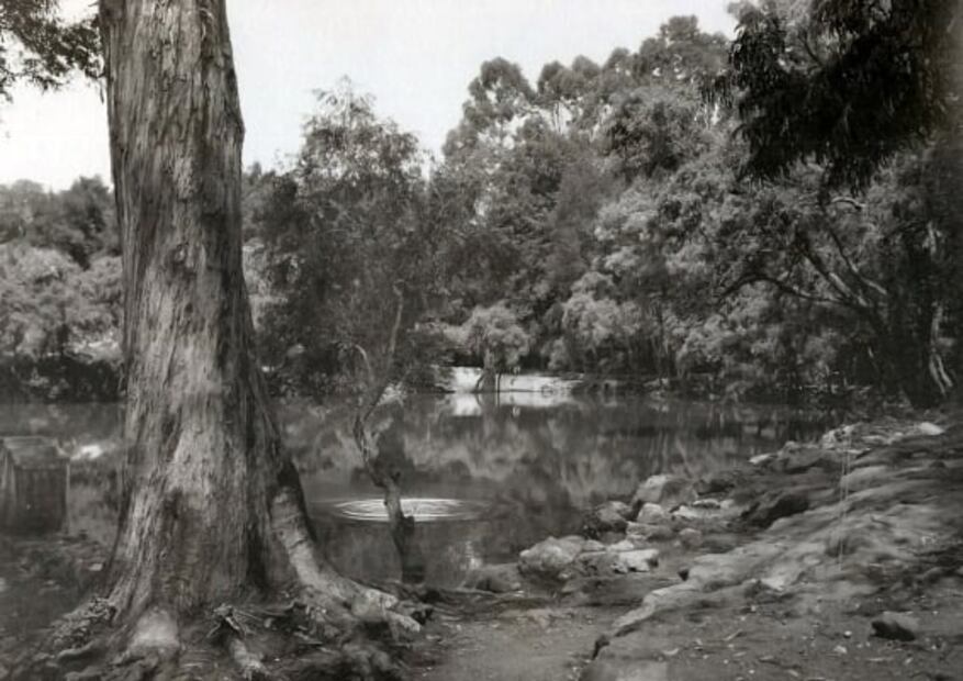 El parque nacional que es famoso por sus manantiales