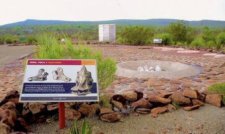 Rincón Colorado: la primera zona paleontológica de México