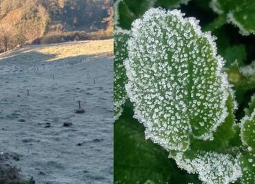 Heladas provocan temperaturas de -11 grados en zona de montaña de Veracruz