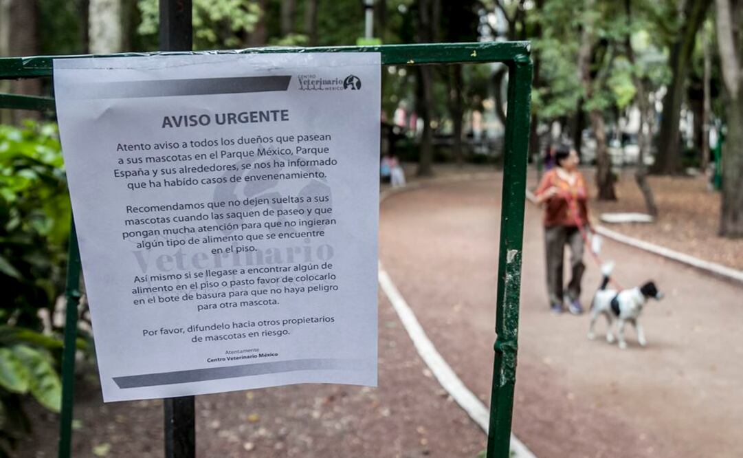 Reabren zona canina en Parque México