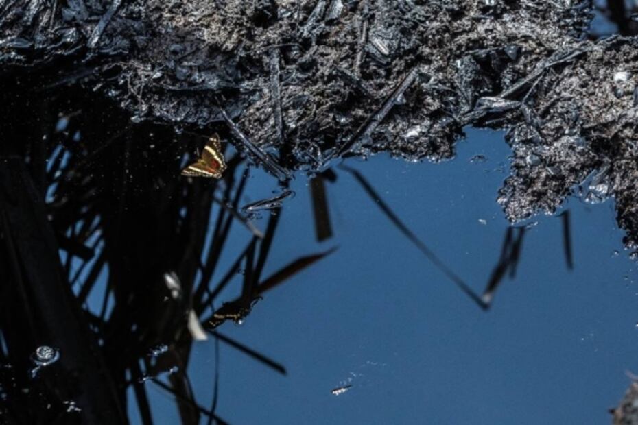 EL UNIVERSAL en imágenes: 2022, un año marcado por el regreso de los eventos masivos y más