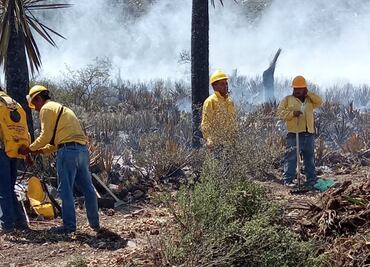 Incendios en Nuevo León consumen 470 hectáreas de vegetación