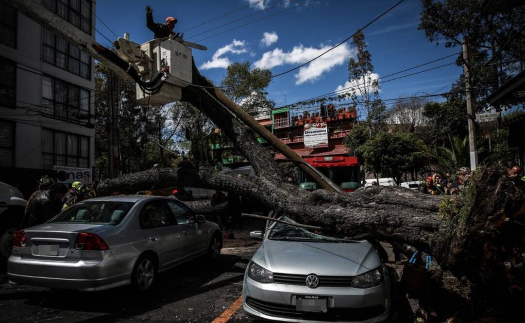 ¡Cuidado! Activan alerta amarilla en CDMX por rachas de vientos fuertes. Foto: Archivo