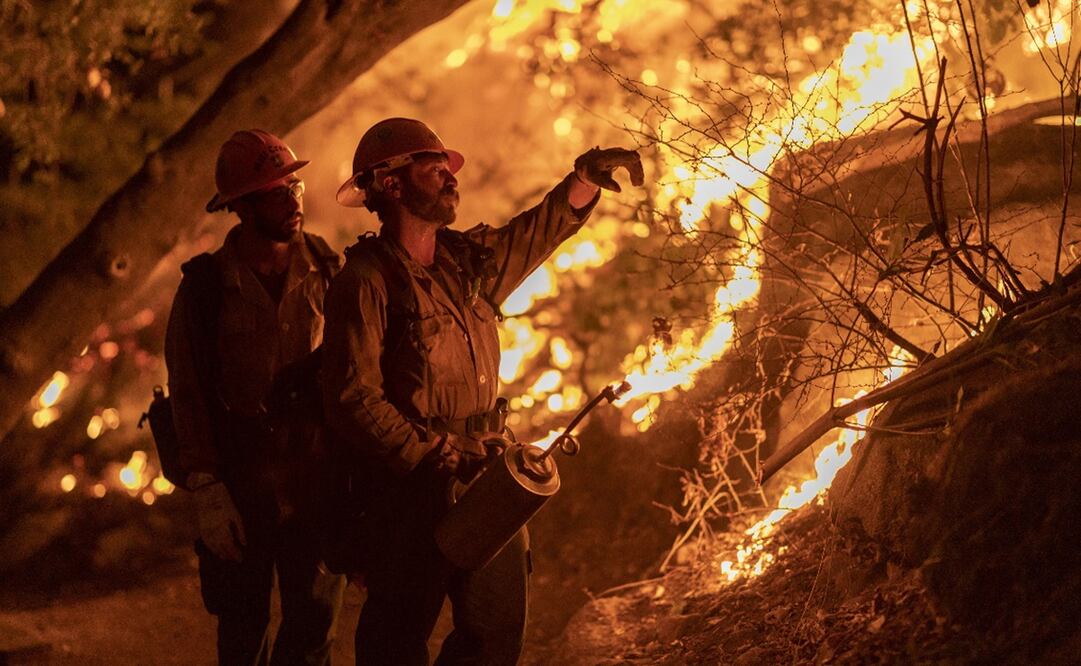 Foto: David McNew/Getty Images/AFP, archivo