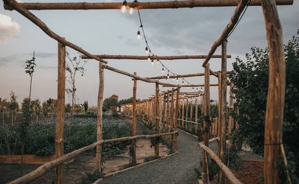 Escápate de la ciudad y disfruta de un día de campo en Querétaro