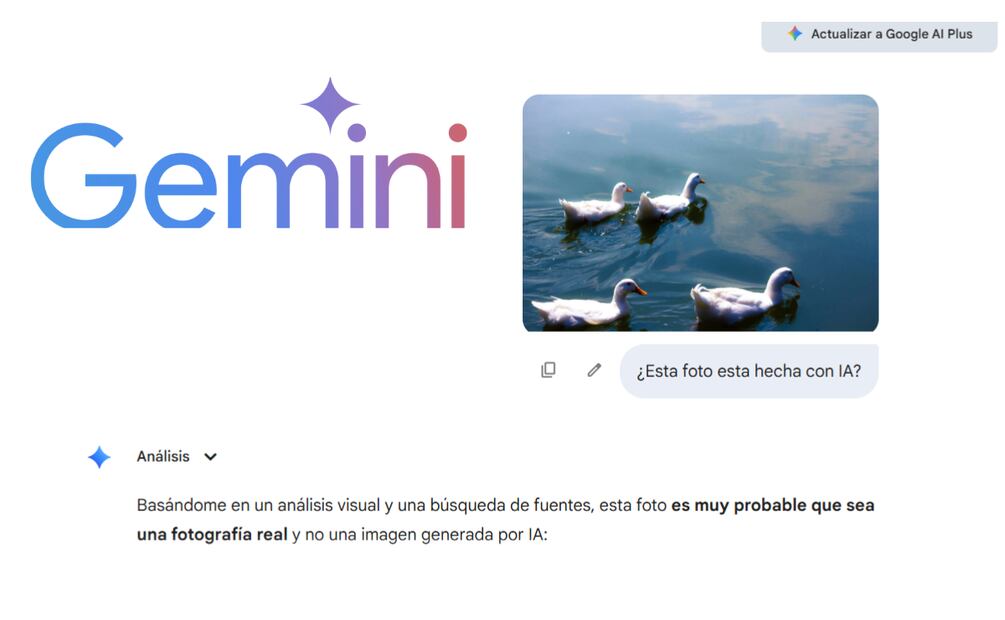 Gemini te proporciona detalles sobre la foto que deseas analizar. Foto: Captura de pantalla