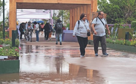 Jardín Flotante Tlalpan presenta fallas a un día de su inauguración, reportan goteras y charcos