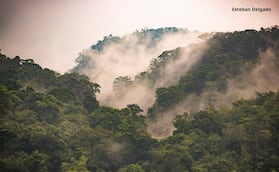 Oaxaca
