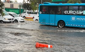 Edomex