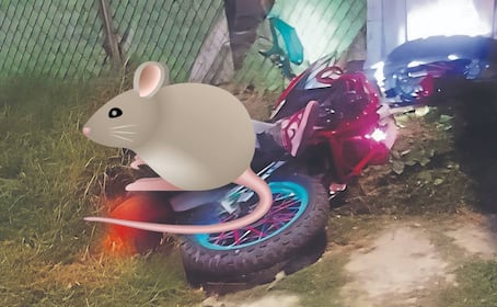 ¡Le salió caro el asalto! Biker se defiende a balazos y deja herida a la rata, en Chalco