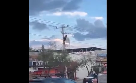 Video: Lacra intenta huír de policía al escalar un poste de luz, se electrocuta, muere y cae sobre patrulla