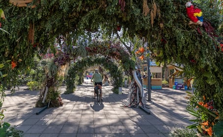 Jardines, colores y flores: Esto es lo que podrás encontrar en el FYJA 2026