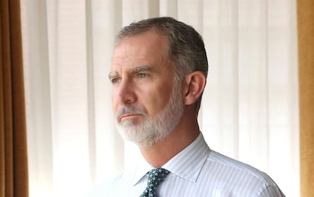 El rey Felipe VI y el libro que revela su supuesta vida secreta