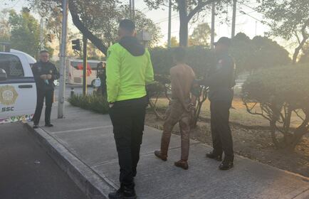 Escena macabra en CDMX: Hombre es sorprendido arrancando piel de perros, en la GAM