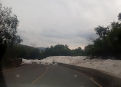 Hidalgo