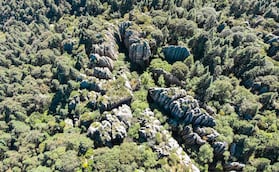 Hidalgo
