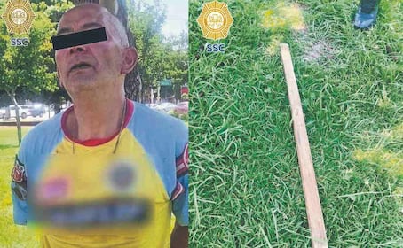 Hijo de pe... golpea con un palo a cachorrita hasta causarle la muerte, en la Cuauhtémoc