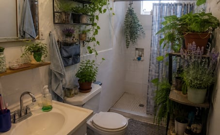 Transforma tu baño en un spa: 4 plantas que absorben la humedad y aromatizan de forma natural