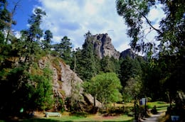 Hidalgo