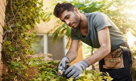 JARDINERO POR DIA TLALPAN
