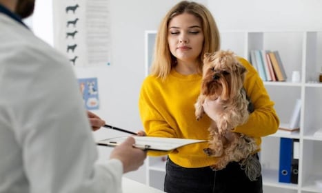 RECEPCIONISTA CONSULTORIO VETERINARIO