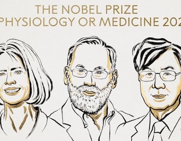 ¿Qué estudiaron los ganadores del Nobel de Medicina 2025?
