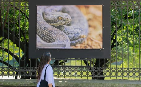 UNAM presenta la exposición de Fotografía Científica en Chapultepec