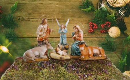 ¿Por qué la UNAM no recomienda usar musgo en Navidad?