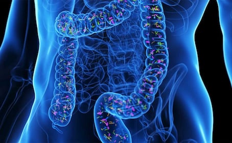 ¿Por qué es importante cuidar tu microbiota? Esto es lo que dice una experta de la UNAM