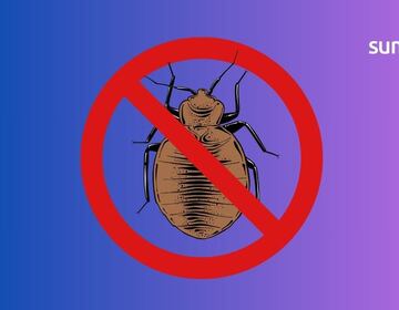 Así debes limpiar tu casa para evitar las chinches de cama