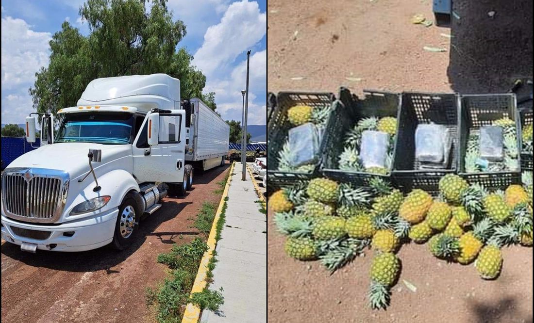 Aseguran 300 kilos de cocaína escondida en cargamento de piñas en Puebla