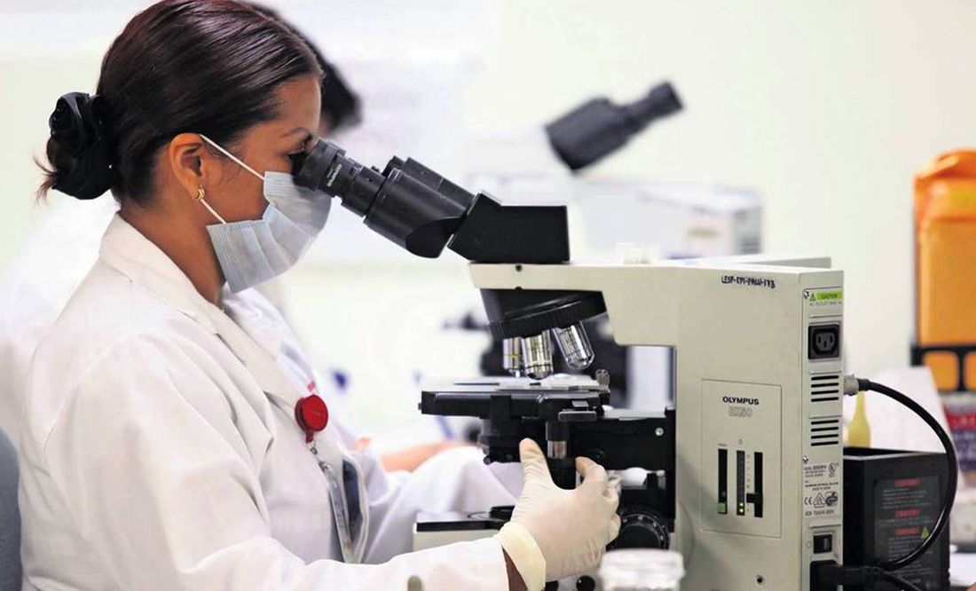 Investigadores del IMSS trabajan en células madre para restaurar el páncreas en pacientes con diabetes tipo 2