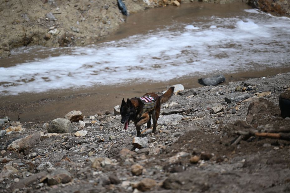 Se ve a un perro rastreador mientras los rescatistas trabajan en el sitio donde un río contaminado con aguas residuales crecido por las fuertes lluvias arrasó con viviendas precarias en el barrio de chabolas Dios es Fiel. Foto: AFP