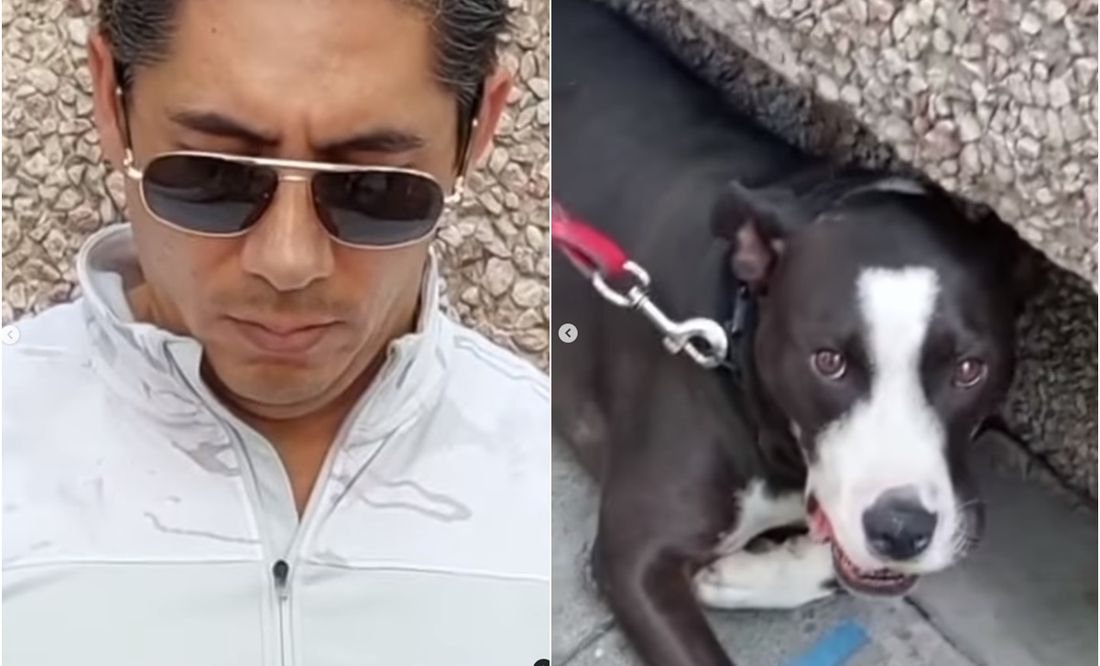 VIDEO: Sujeto ahorca y da puñetazos a su perro 'porque agarró una pelota, fue un castigo', en Polanco