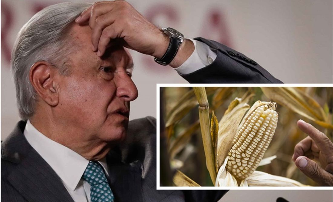 México no ha logrado dar elementos científicos a EU sobre prohibición de maíz transgénico
