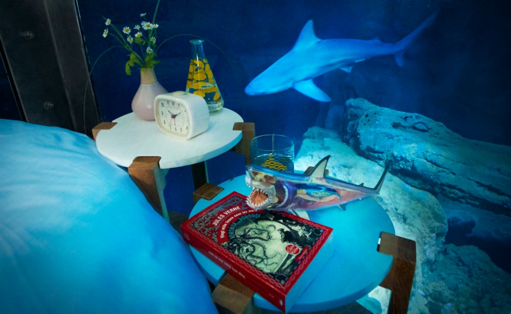 La habitaci&oacute;n estar&aacute; rodeada por 35 tiburones. (Foto: Cortes&iacute;a Airbnb)
