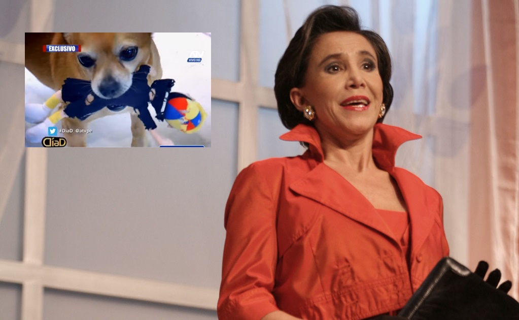 Muñeco de "Kiko" es juguete del perro de Florinda Meza