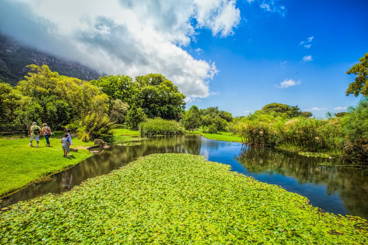 Jardín Botánico Nacional de Kirstenbosch, en Ciudad del Cabo.  (Foto: Istock)