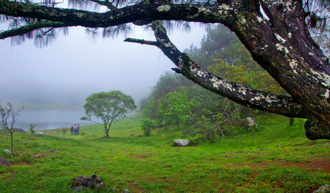 El paisaje de la Laguna Carrizalillo est&aacute; formado por un bosque de neblina y caba&ntilde;itas para pasar una noche. (Foto: Hernando Rivera/SECTURE Colima)