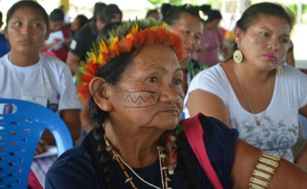 Las tierras indígenas se extienden por casi toda la frontera de Brasil con Venezuela
