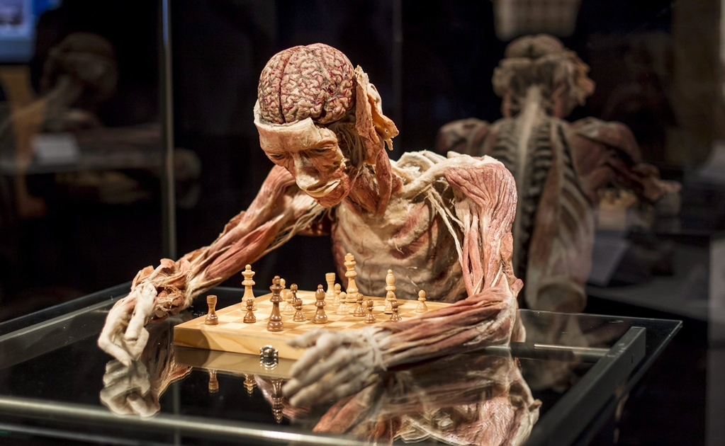 Museo con cadáveres humanos seguirá abierto en Berlín