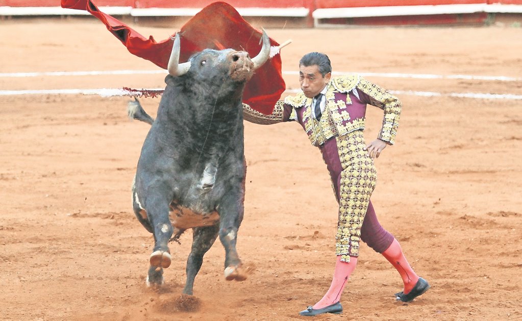 PVEM busca prohibir corridas de toros en CDMX