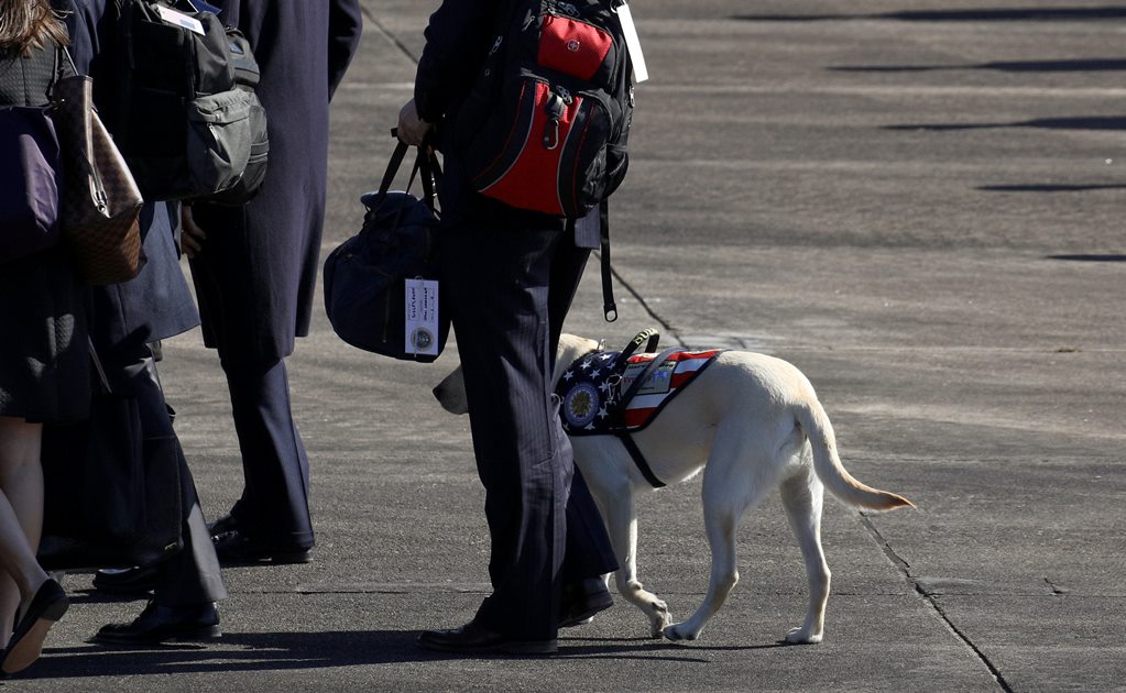 Sully, el perro fiel del ex presidente George H.W. Bush