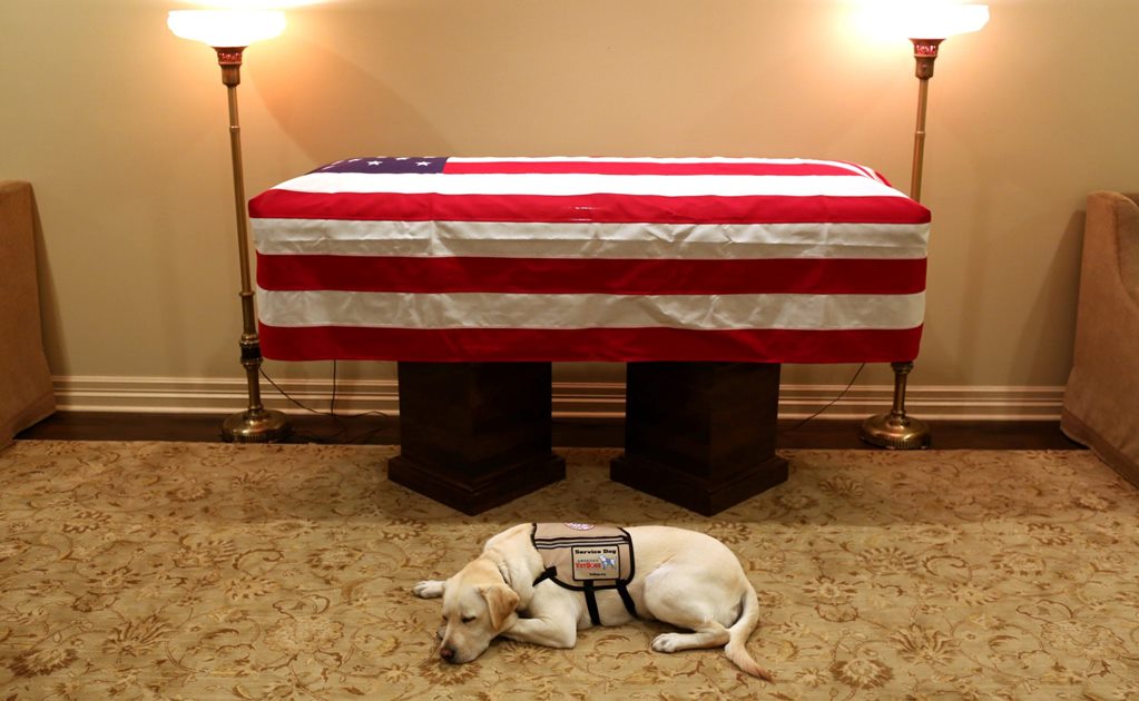 Sully, el perro fiel del ex presidente George H.W. Bush
