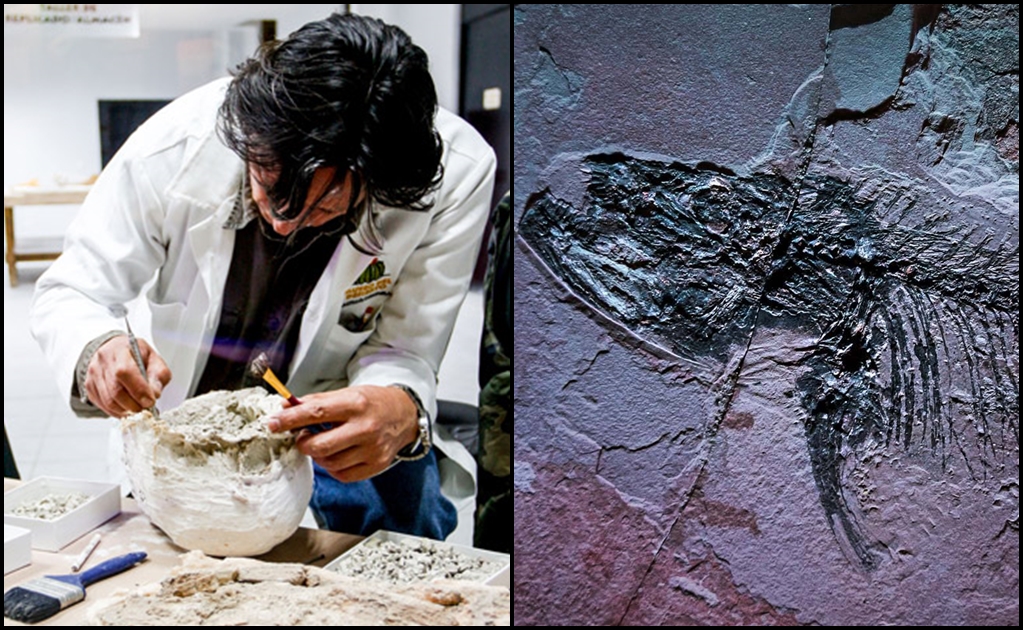 Mexico boasts new paleontology research lab