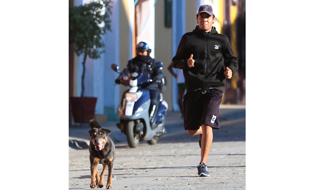 “Mazapán”, el perro que baila Guelaguetza y es “runner” en Oaxaca